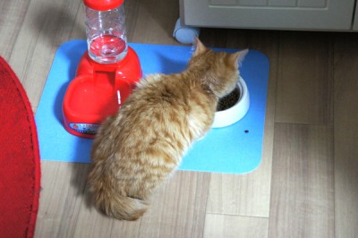 こぼしてます