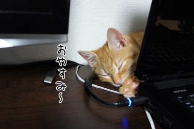 おやすみ～