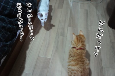 再開