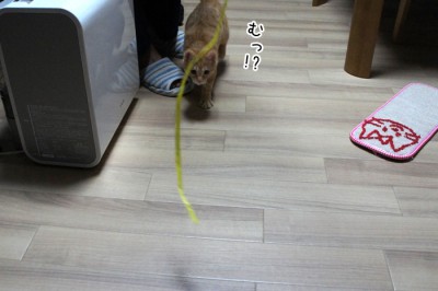むっ！？