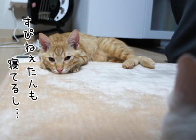 すぴねぇたんも寝てるし…